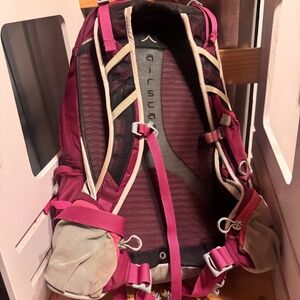 Osprey Mystic Magenta Tempest 20 backpack